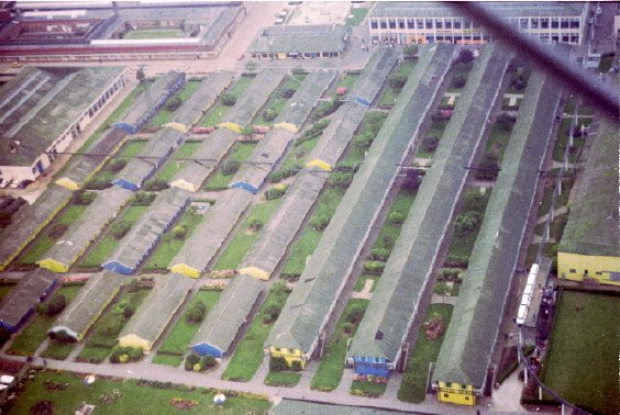 Butlin Skegness 1977 at Redcoats Reunited Queen's Building