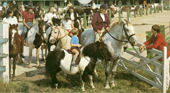 Butlins Skegness Riding School 1975 calendar at Redcoats Reunited